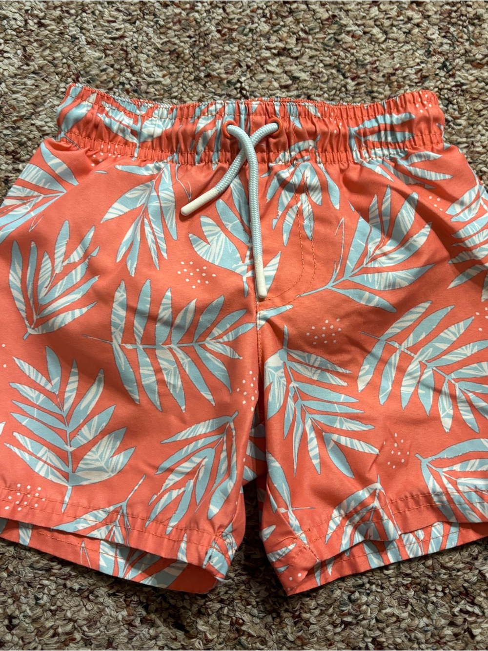 Coral Leaf Print Swim Shorts